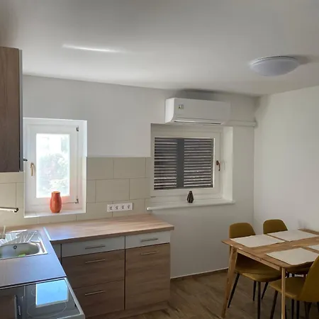 Gerbera Ábrahámhegy