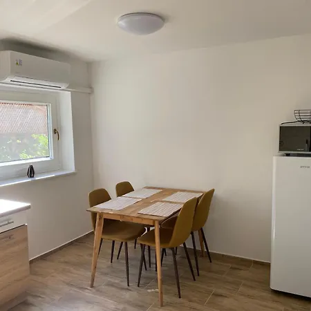 Gerbera * Ábrahámhegy