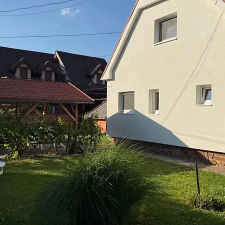 Gerbera Apartment