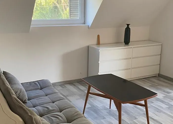 Gerbera * Ábrahámhegy