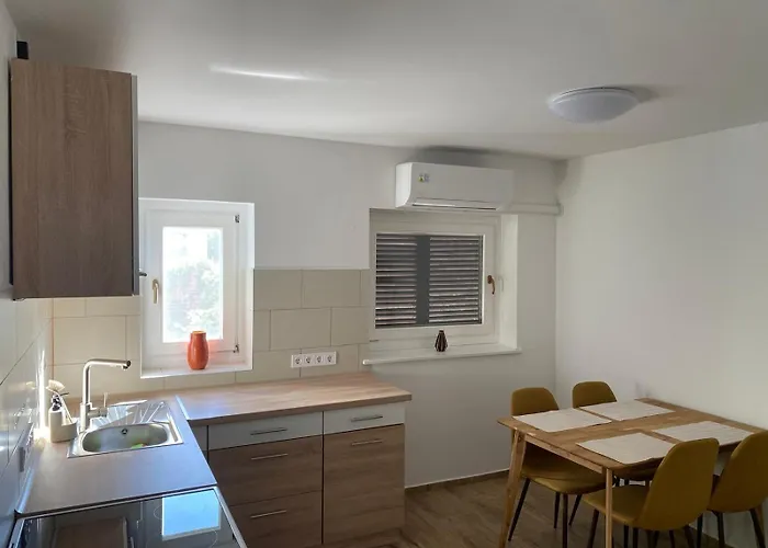 Gerbera Ábrahámhegy