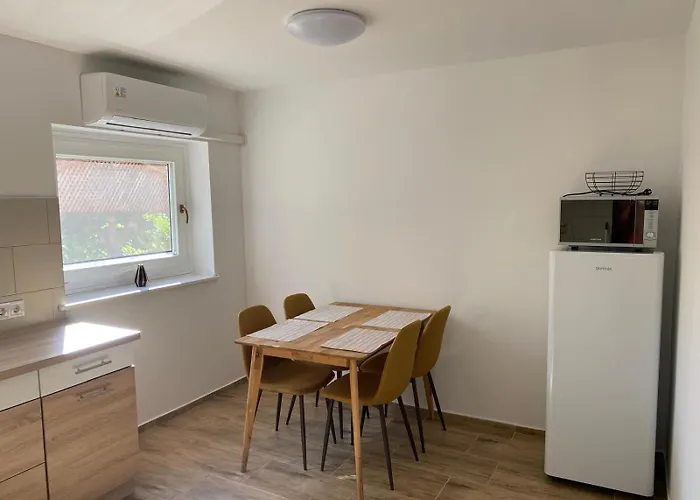 Gerbera * Ábrahámhegy