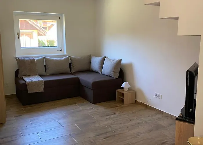 Gerbera * Ábrahámhegy