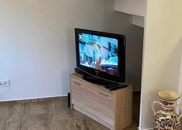 Gerbera * Ábrahámhegy