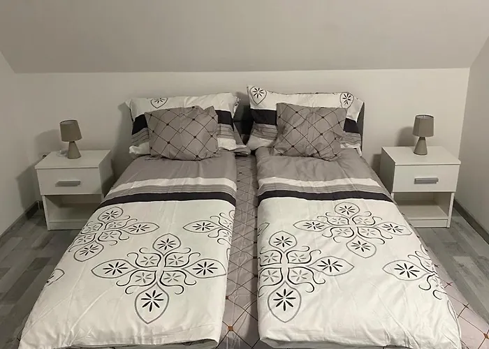 Gerbera Ábrahámhegy