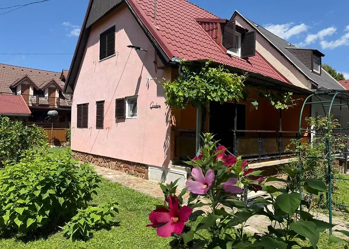 Gerbera Ábrahámhegy